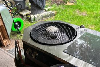 Wespennest im Grill
