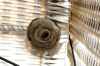 Ein Wespennest in einem Gartenmöbel