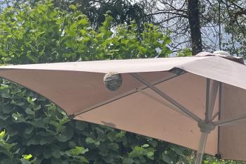 Wespennest am Sonnenschirm